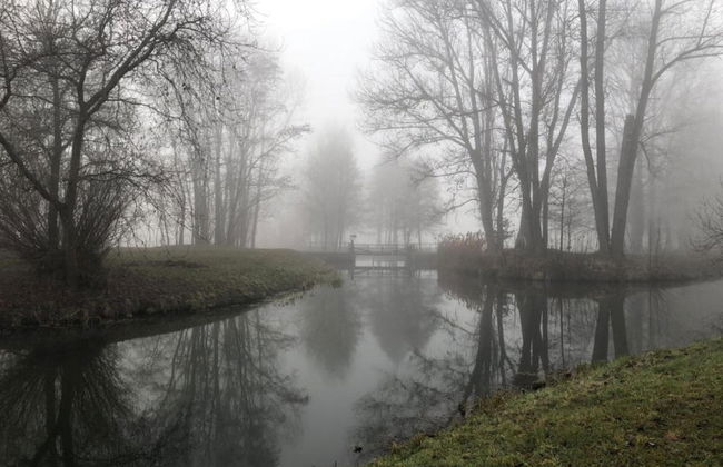 Waldblick Forest Retreat - Foto 40