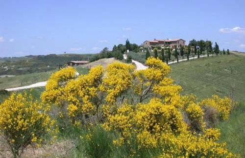 Agriturismo Palazzo Conti A - Foto 90