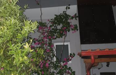 Το σπιτι της Μπρουνας - Foto 36