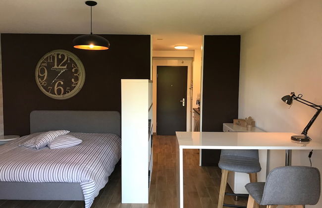 Large Studio Near Epfl And Lausanne City Center - Foto 1