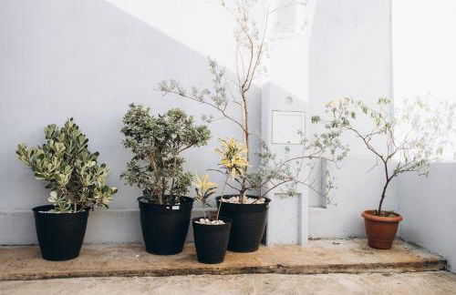 Casa Centro 20m Rio Ar e garagem - Foto 37