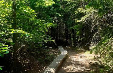 FeWo Schwarzwald von oben - Kniebis - Foto 28