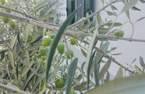 Apartman MAKA - Photo 25