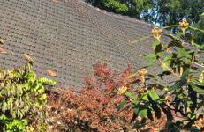 Landzeit Niedergräfenhain - Foto 7