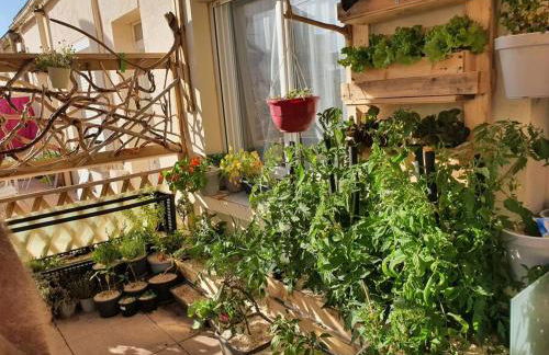 T2 cosy à la plage, terrasse vue sur mer et parking privatif - Photo 15