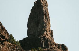 Vivelorural Casa Pepe vistas a la montaña, Tejeda - Foto 53