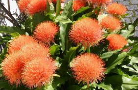 Ferienwohnung Helmis - Photo 15