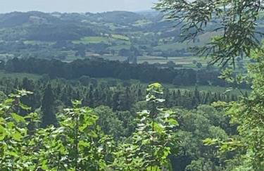 Tank Barn at Brook House, Nestled in the Welsh Hills, a delightful retreat - Foto 24