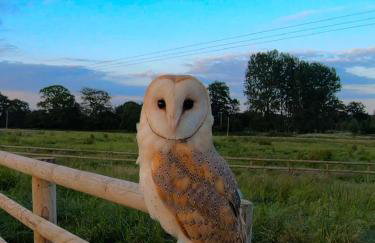 The Udderhouse - Udderly Unforgettable Retreat - Foto 17