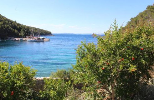 Apartment Stiniva - Foto 5