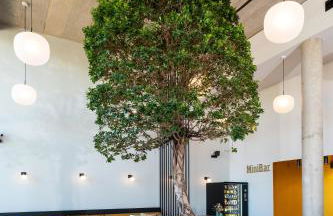 Black F Tower - Serviced Apartments - Foto 17