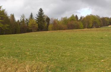 Chatka Milkowska - Foto 22