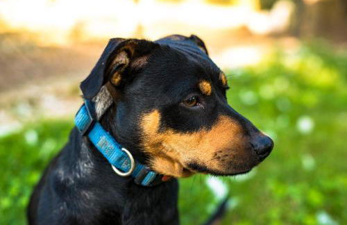 Agriturismo Tre Rondini - Foto 34