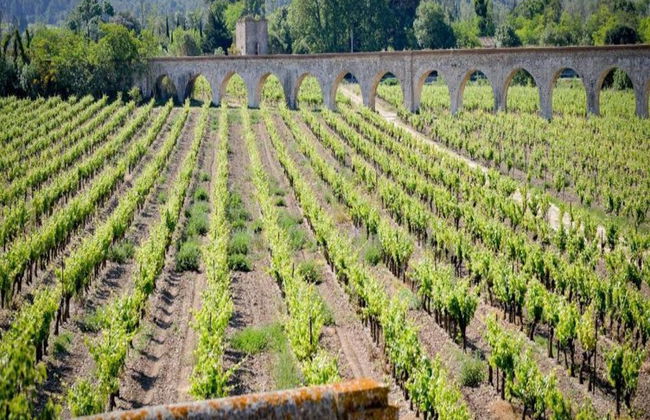 Residence du Chateau de Jouarres, Azille - Studio 2 Pers. With Balcony - Foto 58