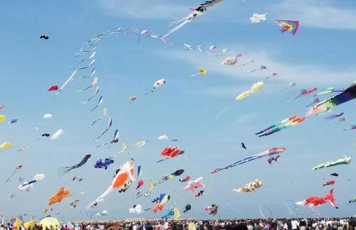 Fenicottero Rosa - Foto 26