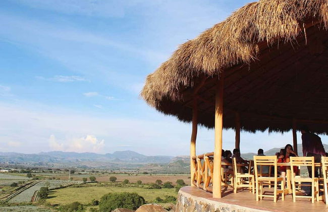 Tequila Tour + Distillery Visit with Tasting - Photo 9