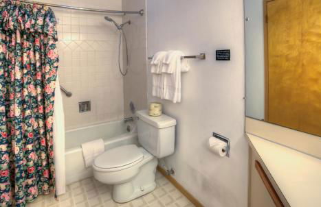 The Grey Gull - Foto 98