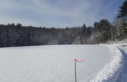 The Pine River Pond Premier Lakehouse 4BR High-End Retreat - Foto 9