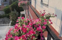 PLOMIN SKY&BAY - Foto 71