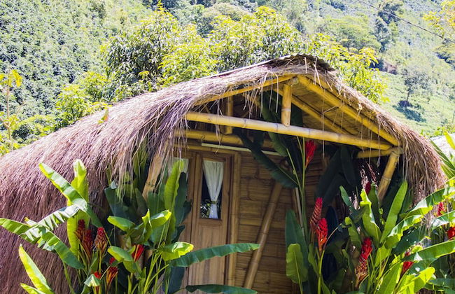 Pradera Ecoliving - Foto 10