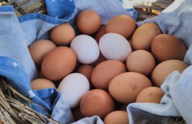 Casa vacanza zia Ersilia - Foto 73