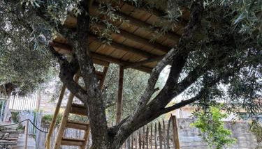 maison du olival - Foto 4