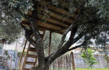 maison du olival - Photo 4