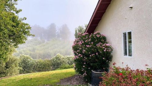 Vista Vine Cottage - Foto 2