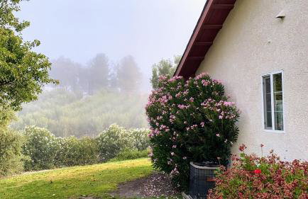 Vista Vine Cottage - Photo 2