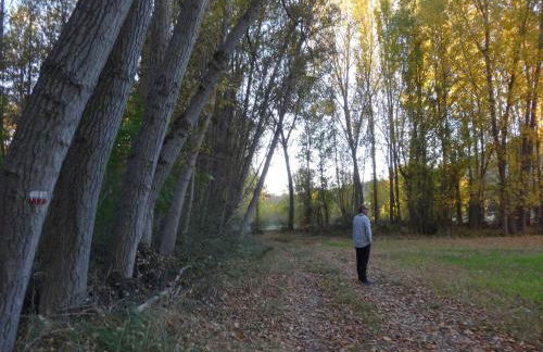 Spa y Casa Rural Rio Dulce - Foto 37