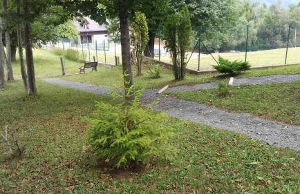 Planinska kuća Dasović - Foto 19