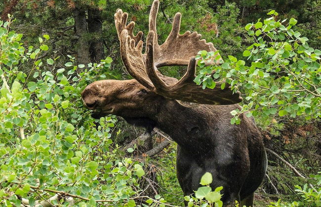 Holiday Home for 8 Guests in Sverige - Photo 13