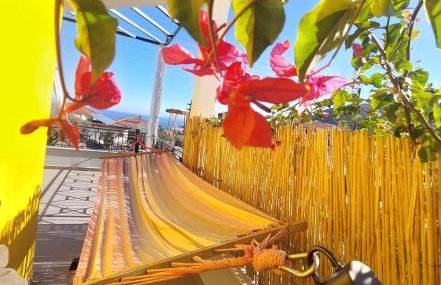 The bee's house 2 - Foto 1