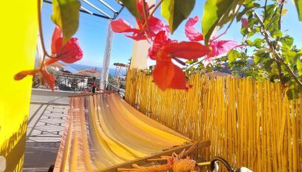 The bee's house 2 - Foto 1