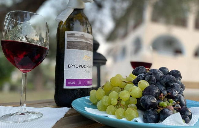 Holiday Aptm - Morningsun1 - Sithonia - Foto 25