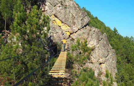 Monte das Cerejas - Foto 52