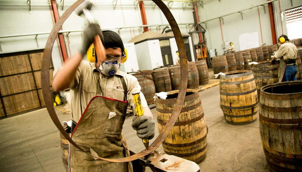 Excursión a Casa Botran - Foto 4