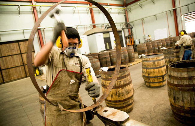 Excursión a Casa Botran - Foto 4