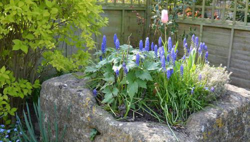 Bear's Cottage Bretforton - Photo 4