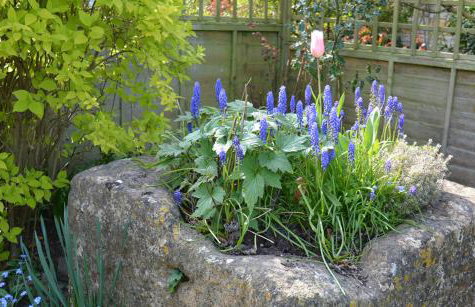 Bear's Cottage Bretforton - Photo 4