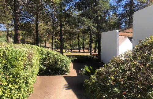 Residenza Gherly - Foto 76