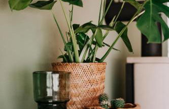 Soonwald Loft I Garten I Kamin I riesige Wohnküche - Foto 10