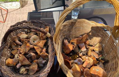 Precioso apartamento con vistas montaña o rio - Foto 55