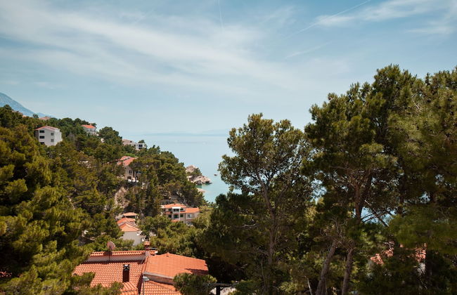 Apartments Lile - Photo 38