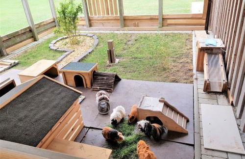 Teichhauswohnung - Foto 13