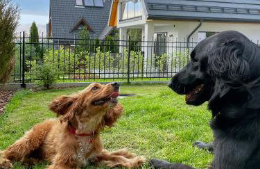 Domki 1010 m - Foto 47