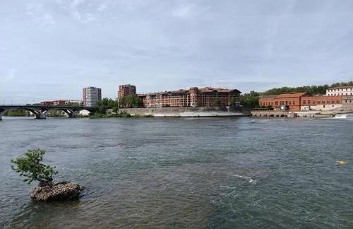 T3 Lumineux - Berges de la Garonne - Parking - Photo 21