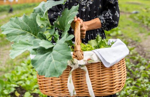 FONTIS luxury spa lodge - Photo 34