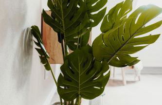 WohnungTraveller Völklingen nähe Weltkulturerbe - Foto 24