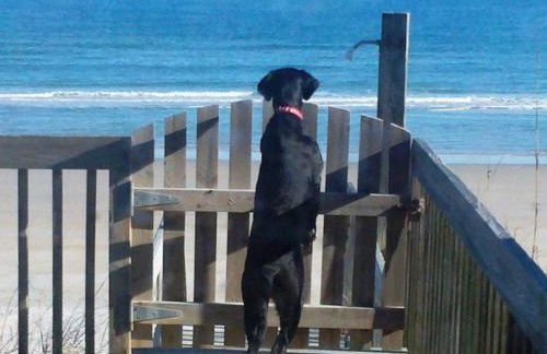 All About The View - Foto 15